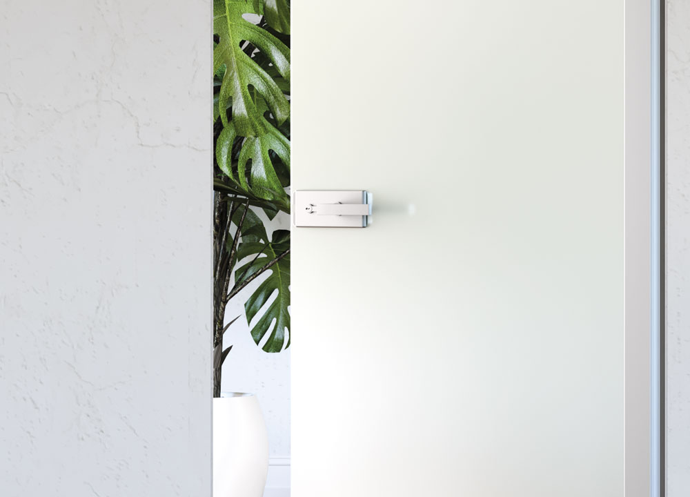 ECLISSE flush-to-the-wall glass hinged door